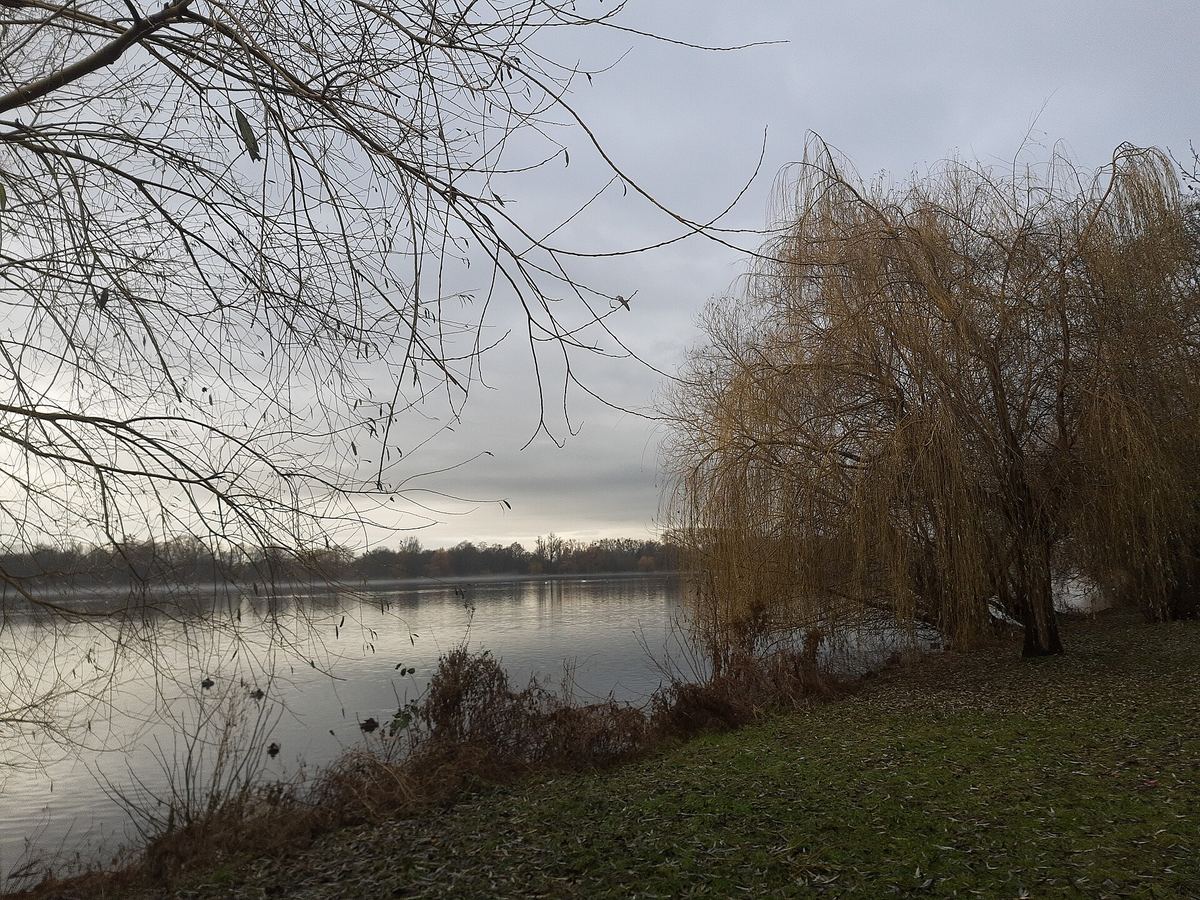 Der Maschsee in Hannover von Südosten: Am Ufer führt ein asphaltierter Rundweg entlang.
