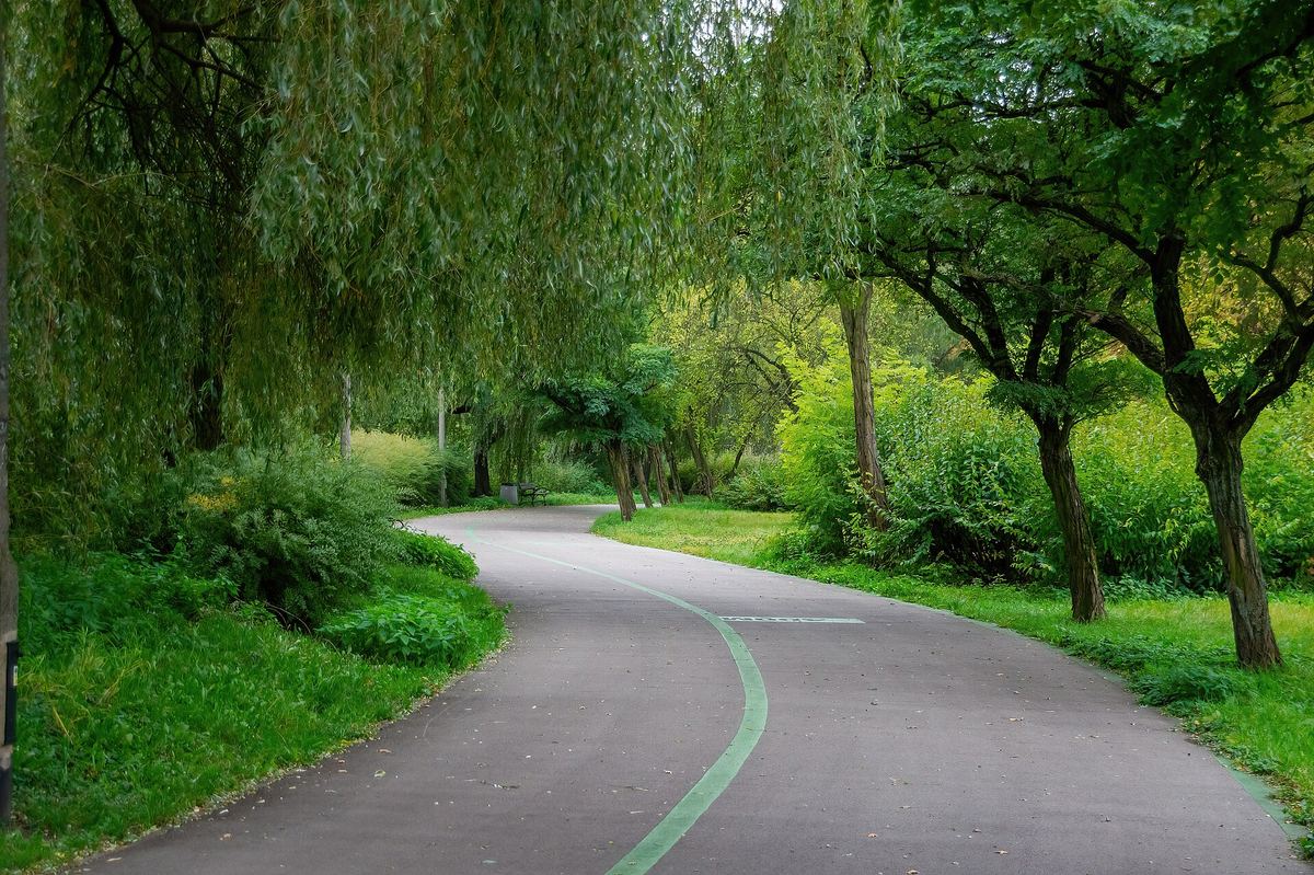 Eine glatt asphaltierte Skatebahn im Park: ideal für schnelle Runden.